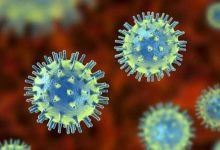 حقائق ومعلومات عن فيروس هيهي الجديد