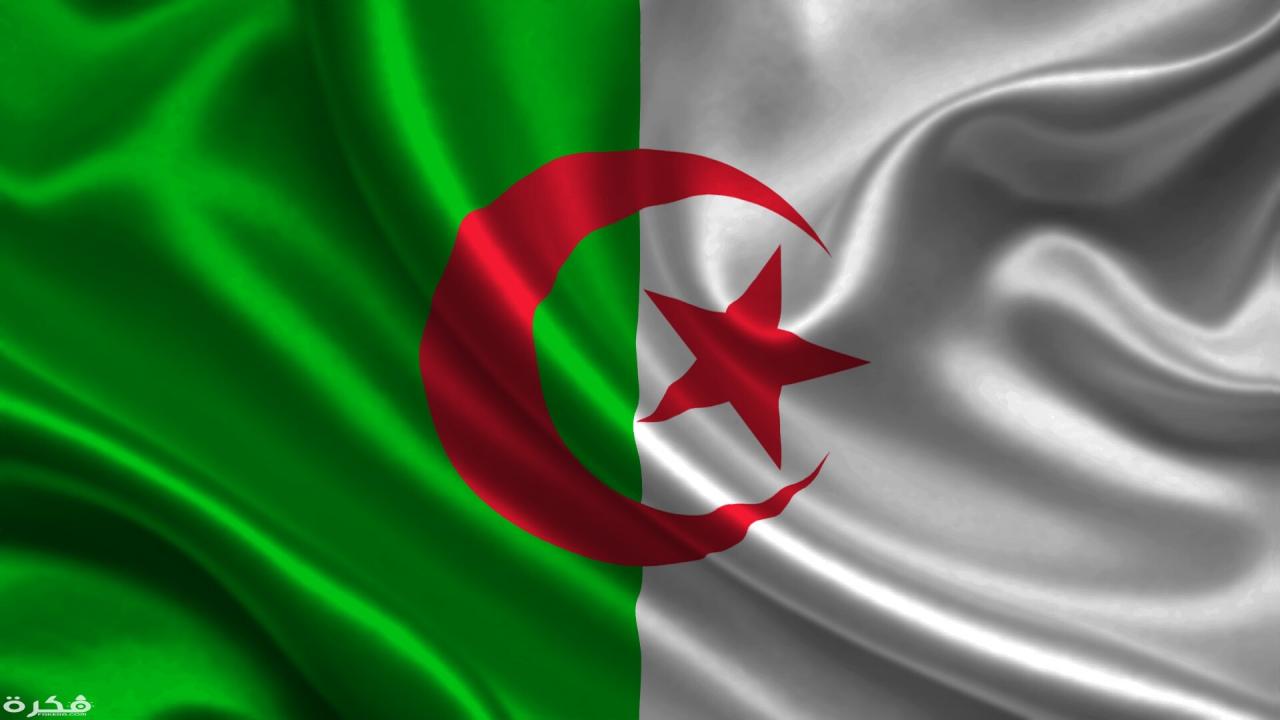 تشكيل منتخب الجزائر في كأس أمم إفريقيا 2021