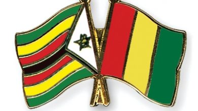 موعد مباراة زيمبابوي وغينيا اليوم والقنوات المجانية الناقلة