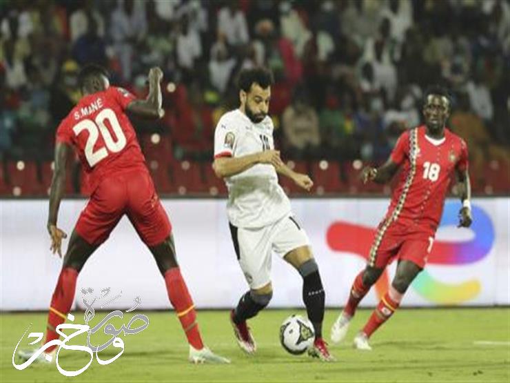 بعد خسارة اللقب مشوار منتخب مصر في كأس الأمم بالكاميرون