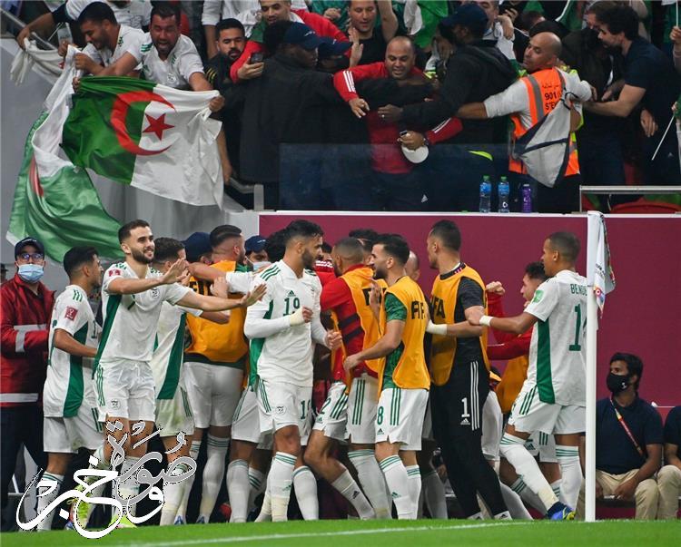 اسم معلق مباراة الجزائر والكاميرون اليوم