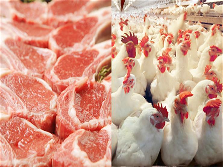 أسعار اللحوم والدواجن في مصر اليوم