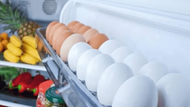 آثار تناول البيض كل يوم على الجسم