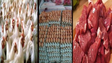 أسعار اللحوم والدواجن والبيض اليوم