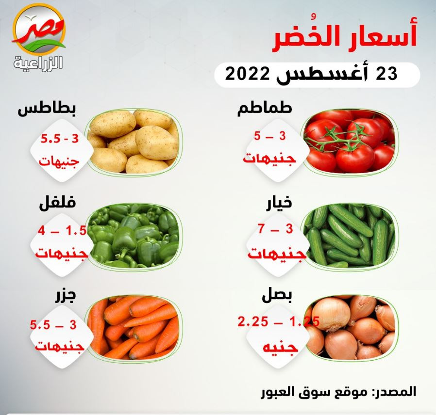 أسعار الخضروات اليوم الثلاثاء