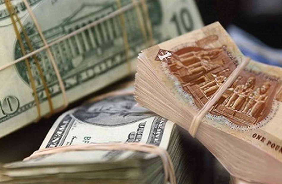 سعر الدولار اليوم السبت في مصر