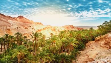 أجمل الأماكن الطبيعية في تونس